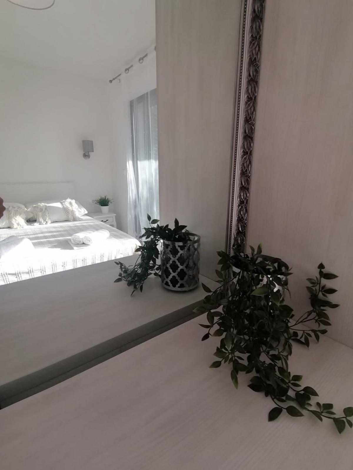 Apartmani Zoric 보디체 객실 사진