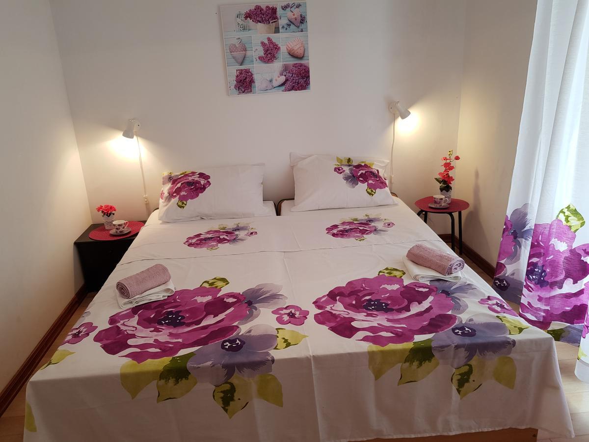 Apartmani Zoric 보디체 외부 사진